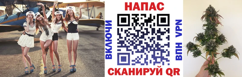 Конопля OG Kush  MEGA зеркало  Губкин  как найти наркотики 